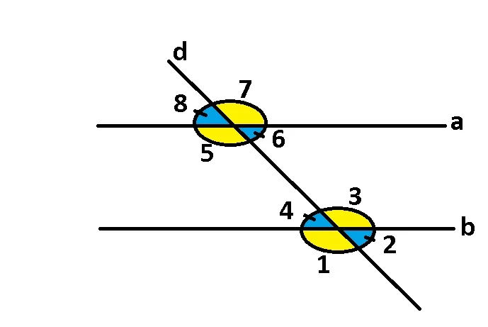 Unghiuri formate de două drepte paralele intersectate cu o secantă