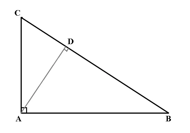 Relații metrice în triunghiul dreptunghic