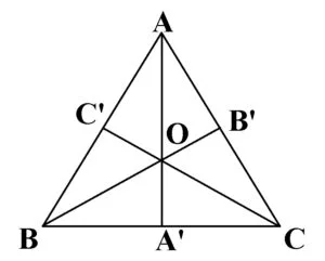 Triunghiuri particulare