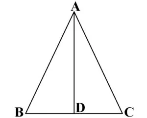 Triunghiuri particulare